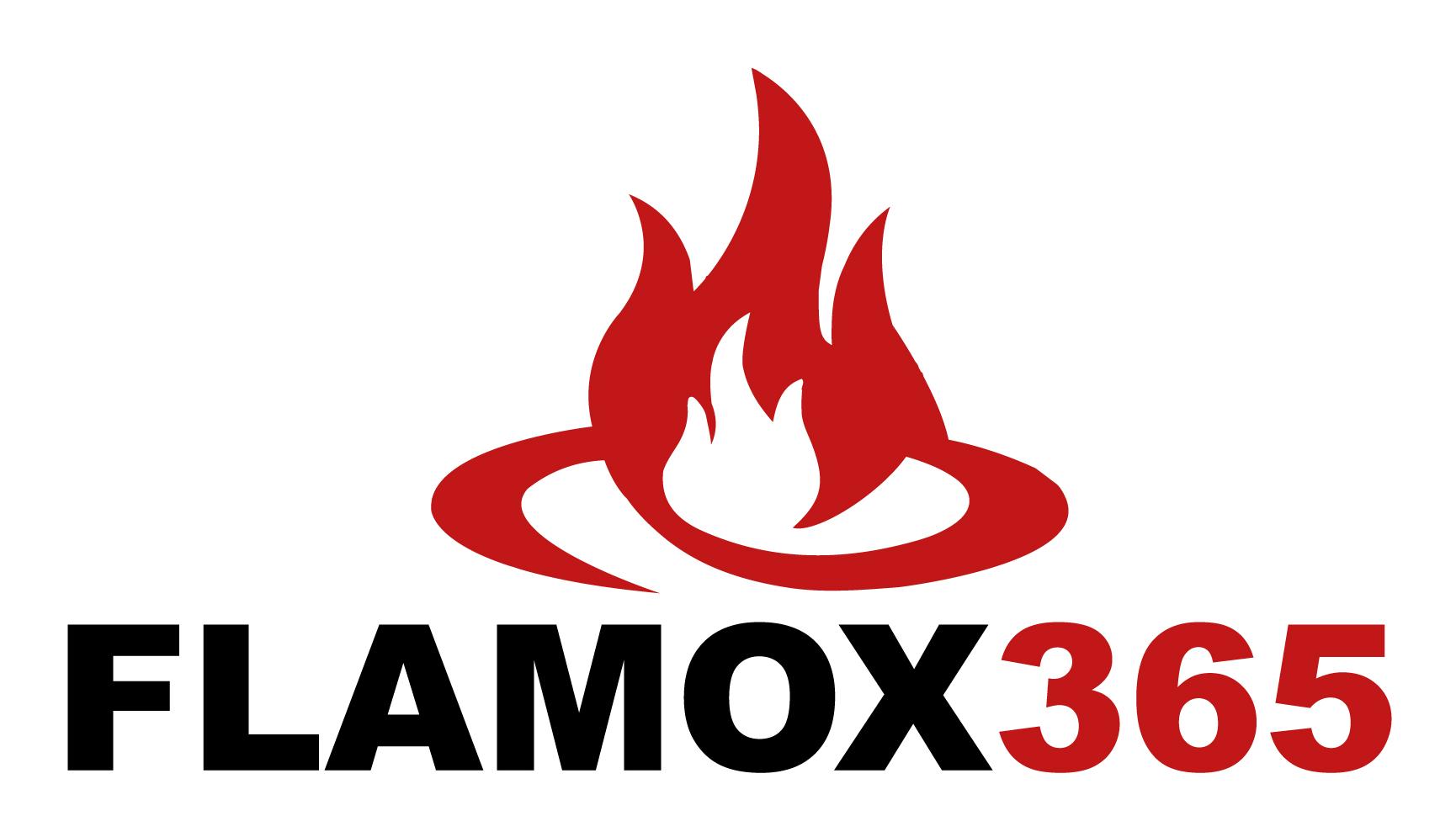 Darstellung der Marke 3020252519560 (FLAMOX365)