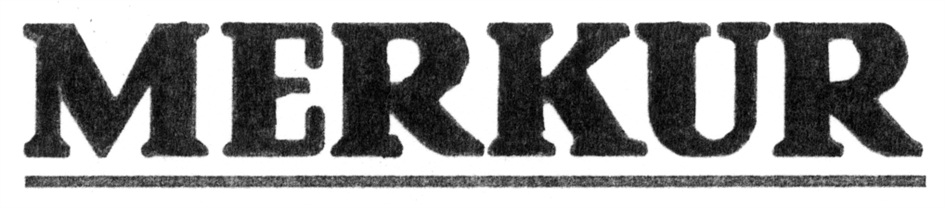 Darstellung der Marke 3020080538945 (MERKUR)