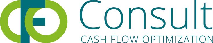 CFO Consult CASH FLOW OPTIMIZATION
