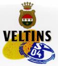 VELTINS S 04