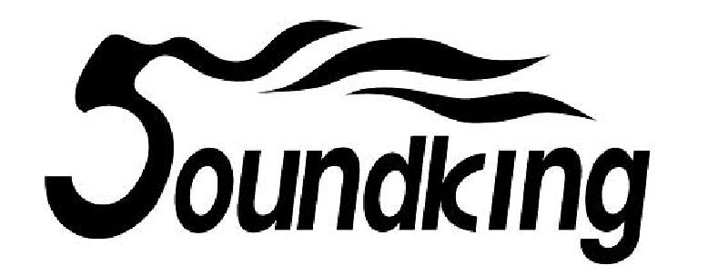 Reproduction of the trade mark 008387995 (Soundking )