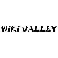 Reproduction of the trade mark 018604758 (Wiki VALLEY)